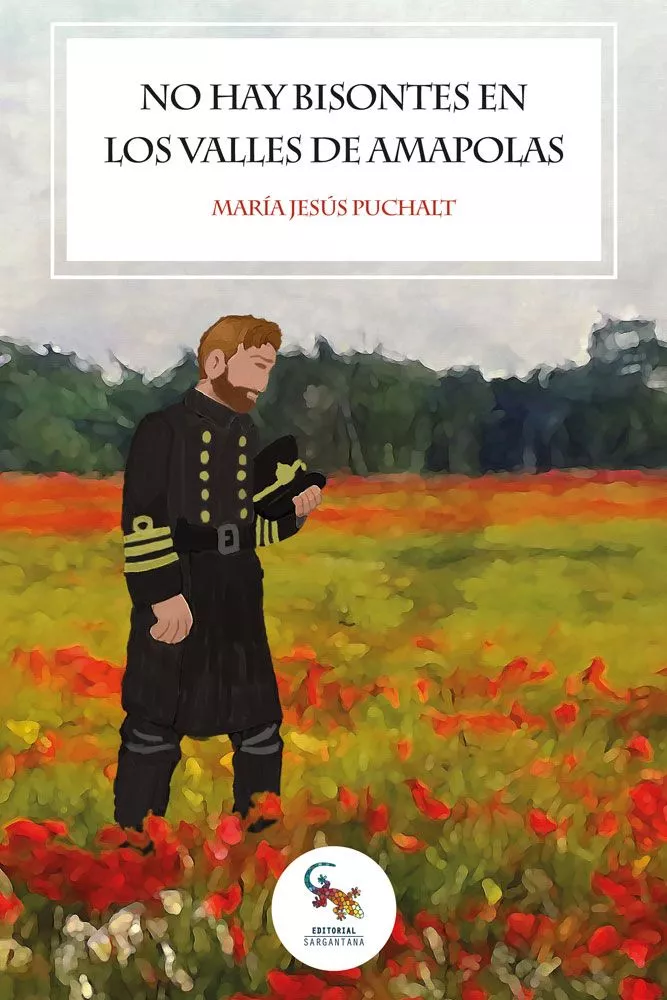 Portada de "No hay bisontes en los valles de amapolas". Dibujo de estilo impresionista de un soldado en un campo de amapolas, con el sombrero sujeto en la mano.